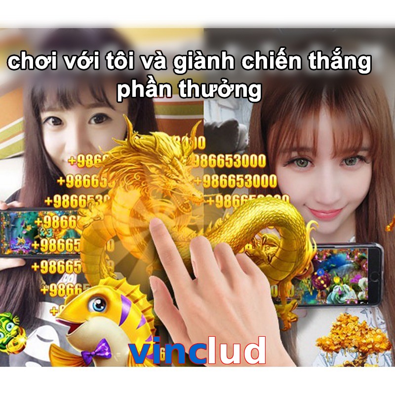 vinclud